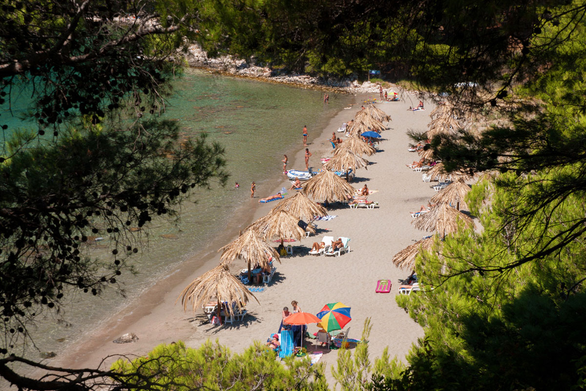 MLJET1006 13 08 13