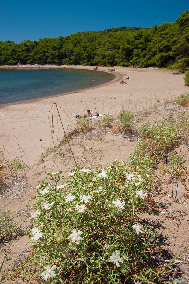 MLJET1033 13 08 13