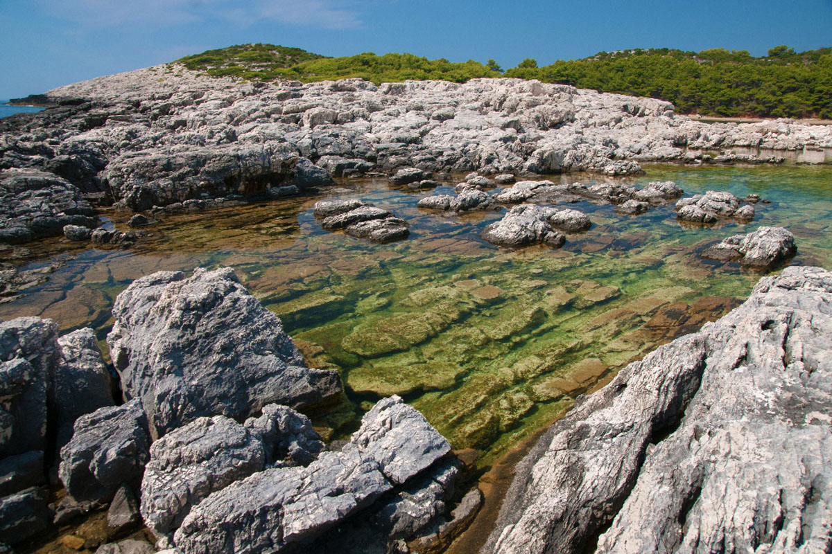 MLJET1388 15 08 13