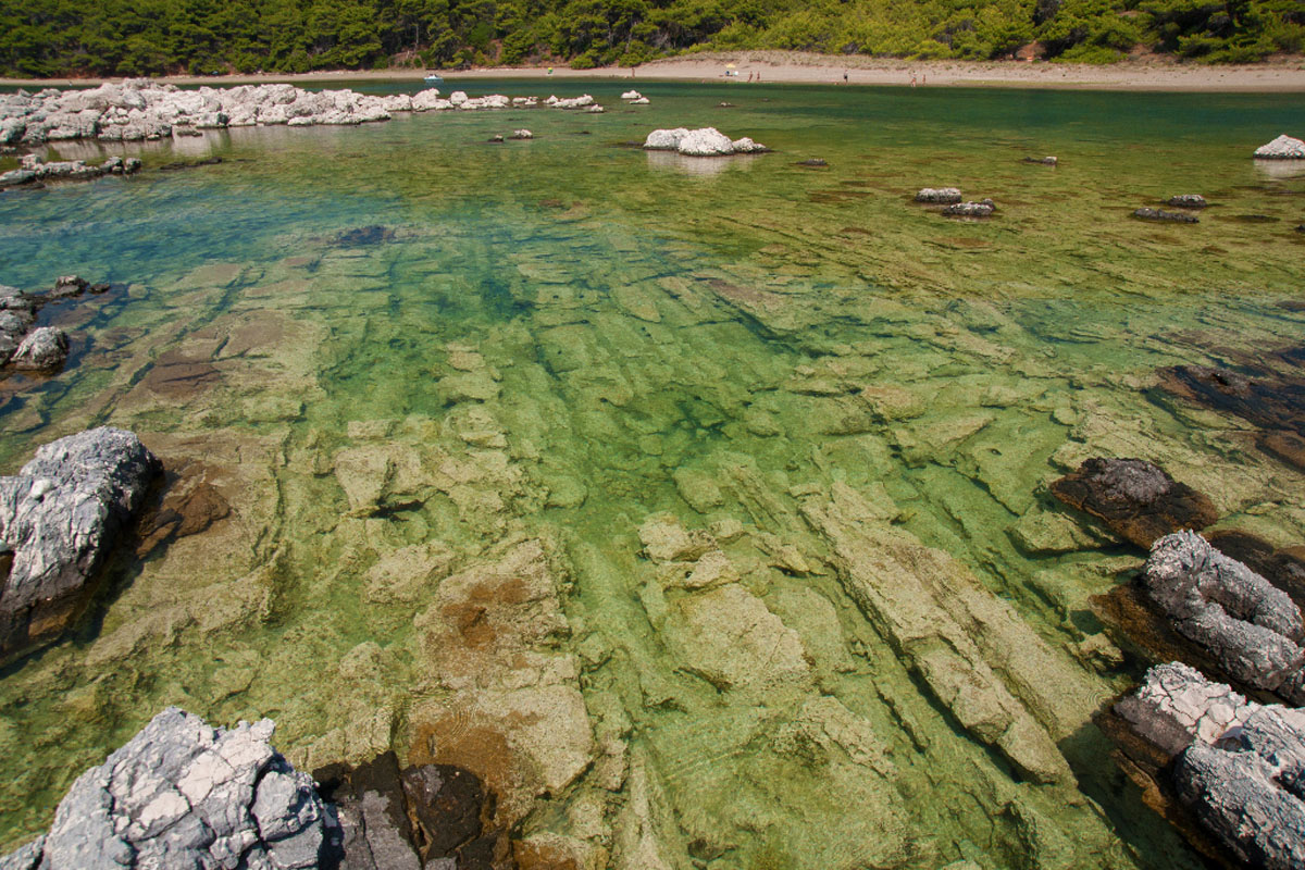 MLJET1389 15 08 13