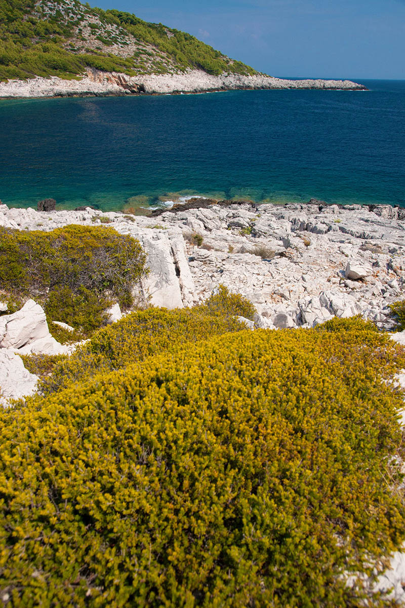 MLJET1478 15 08 13