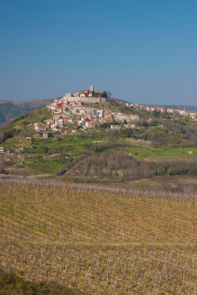 MOTOVUN31 12 03 14