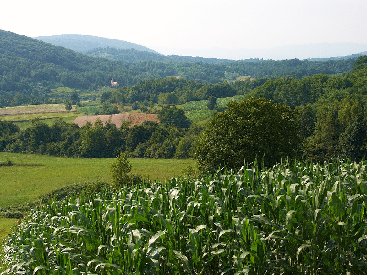 PRILISCE11 14 07 06