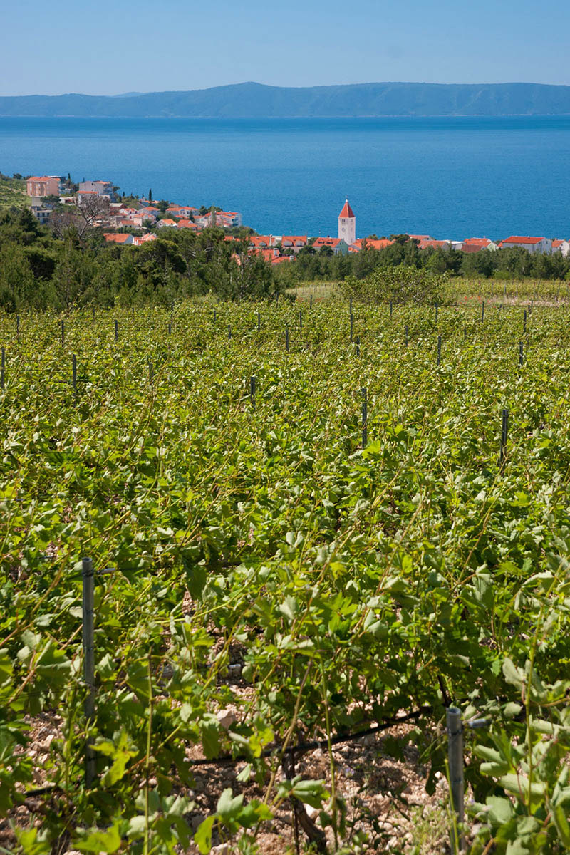 PROMAJNA03 18 05 12