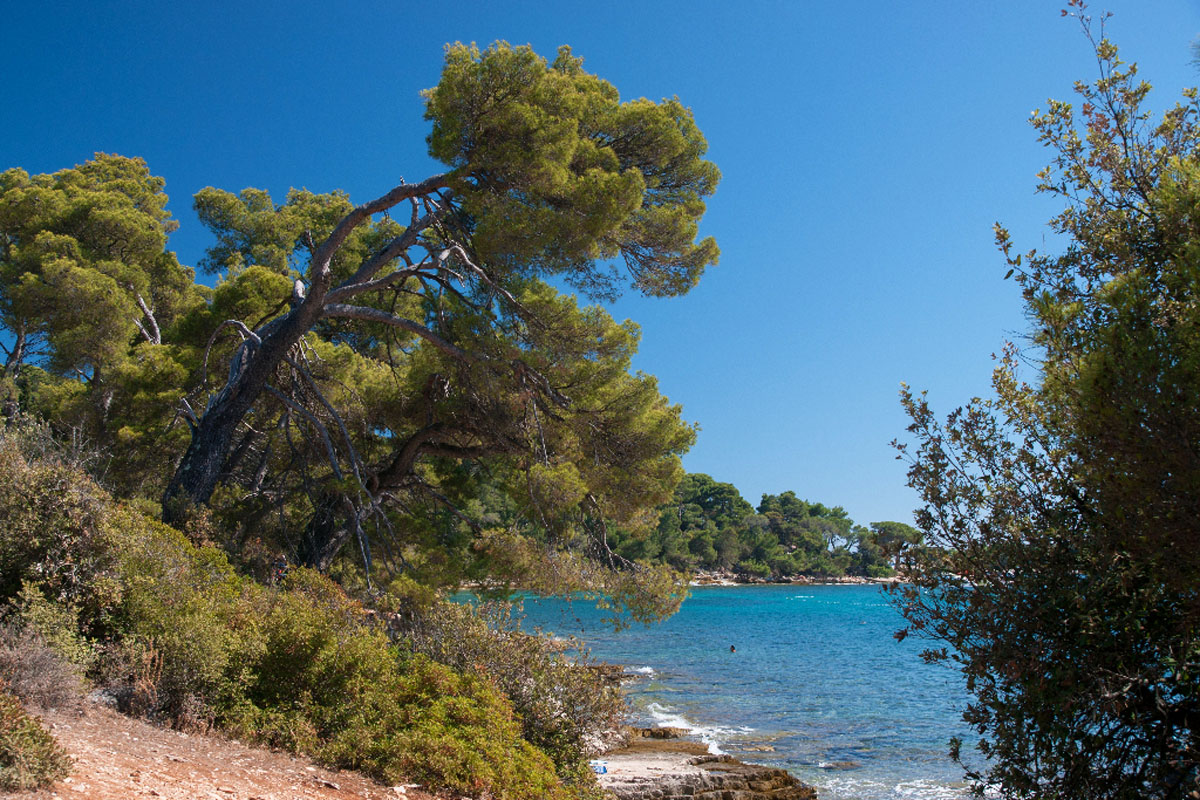 ROVINJ433 07 08 12
