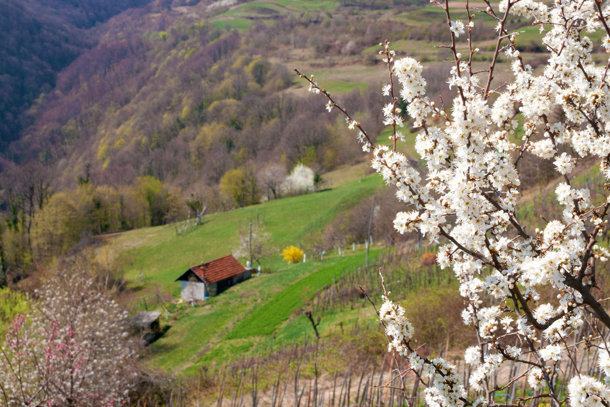 SAMOBORSKO GORJE12 31 03 12