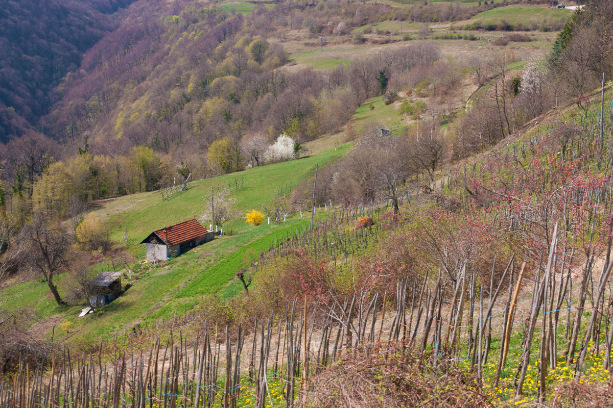 SAMOBORSKO GORJE14 31 03 12