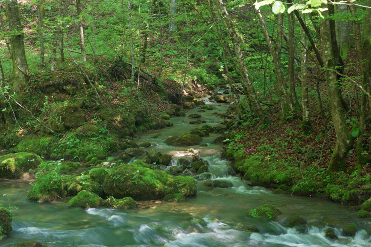 SLAPNICA   PP ZUMBERAK33 01 05 09
