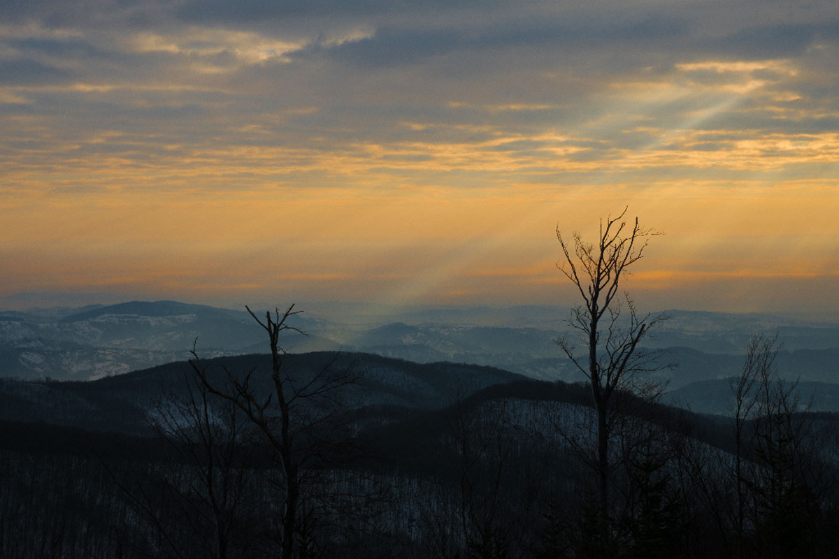 SLJEME011 14 02 15