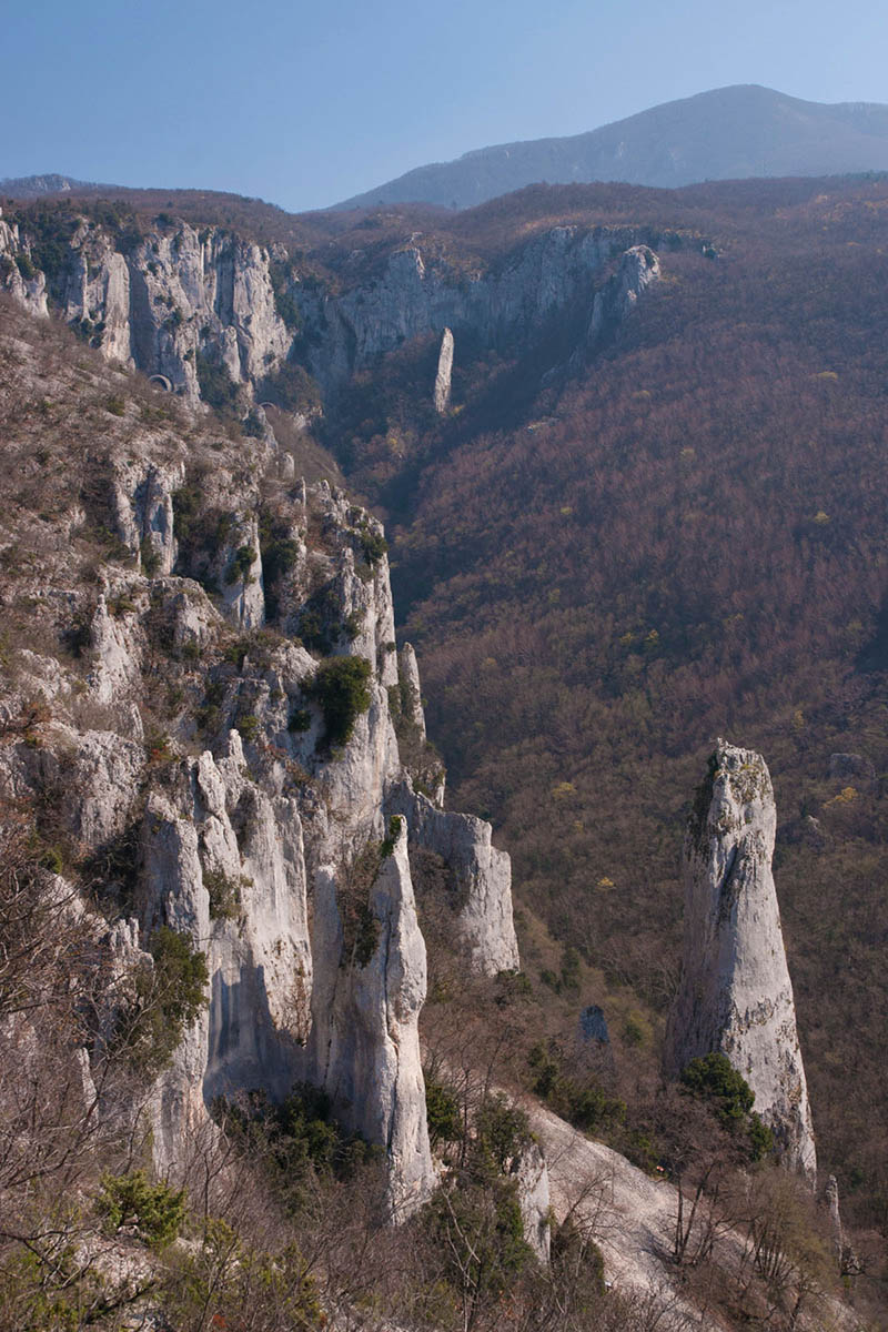 VELA DRAGA14 13 03 14