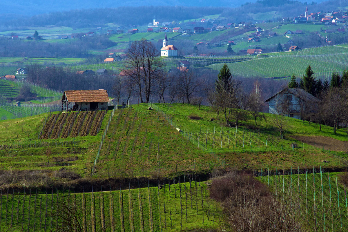 VIVODINA