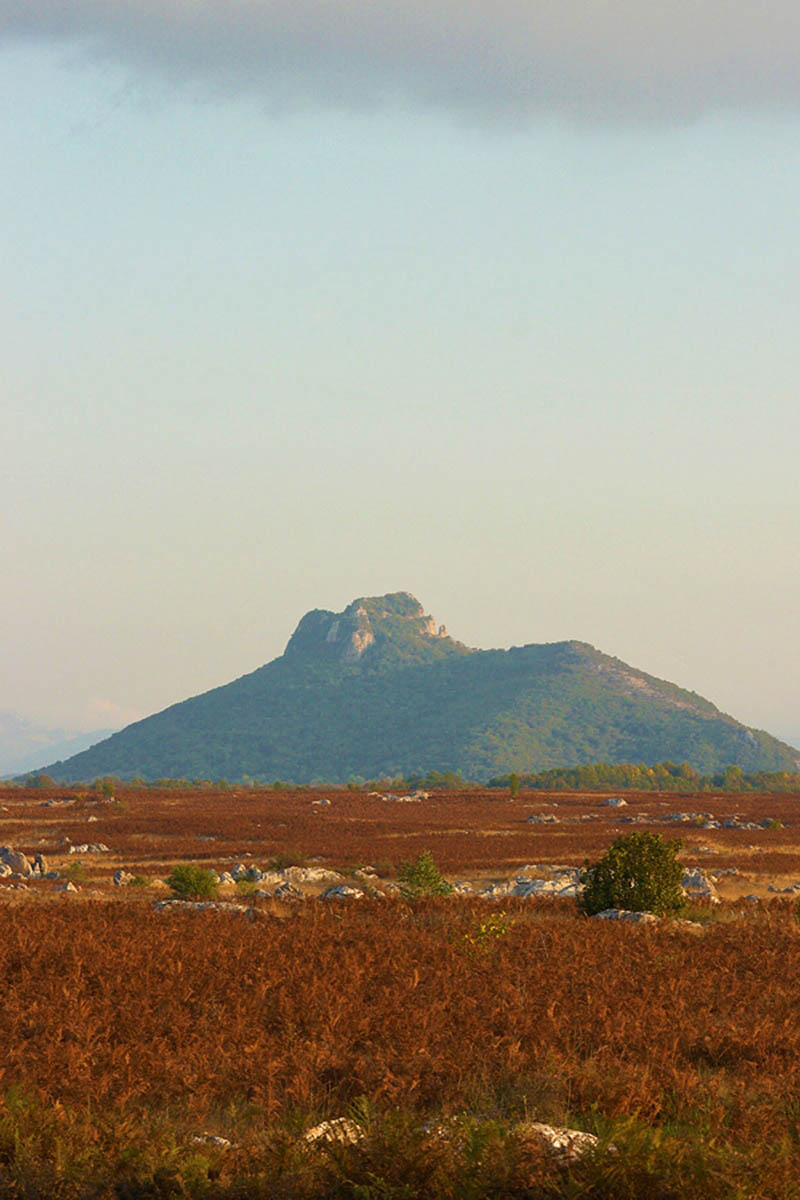 ZIR06 07 10 09