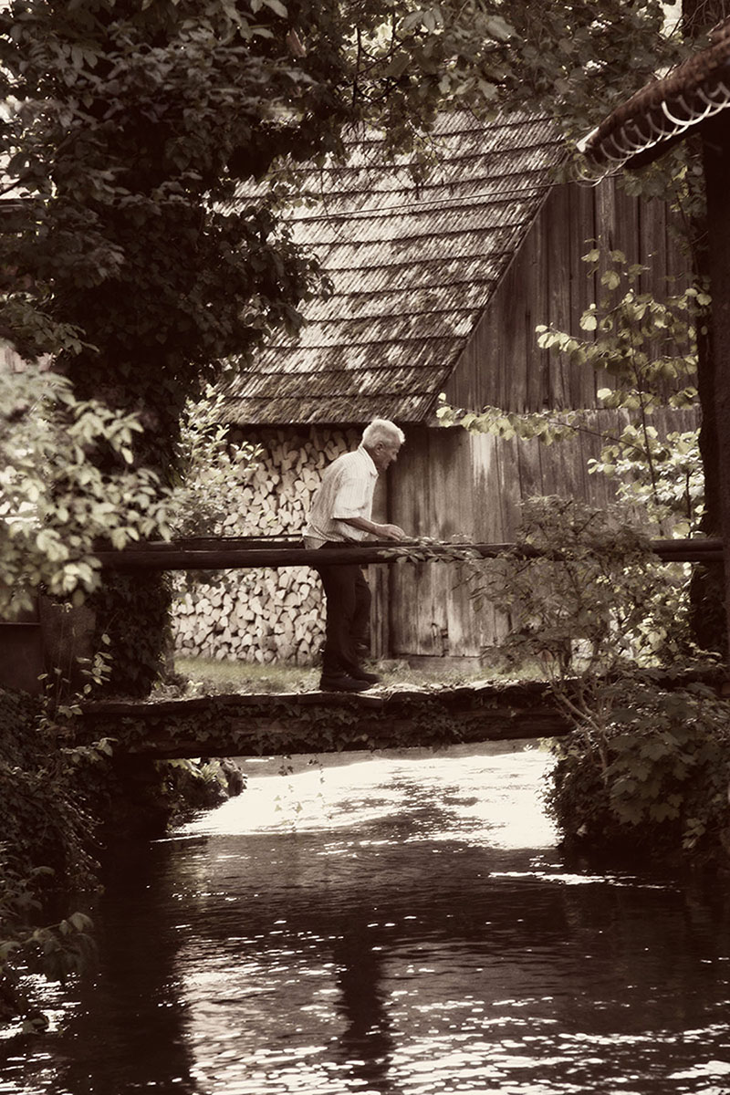 OLD MAN FROM RASTOKE
