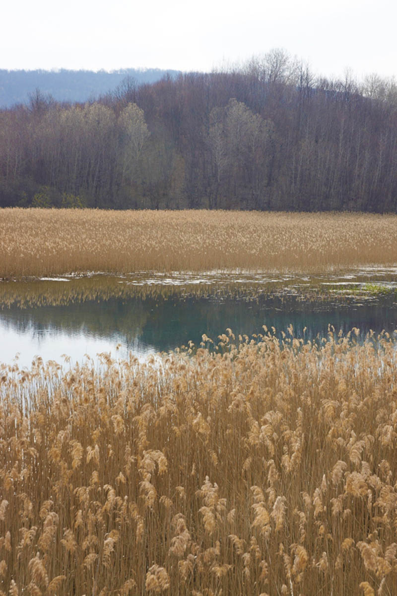JEZERO NETEKA04 26 03 11
