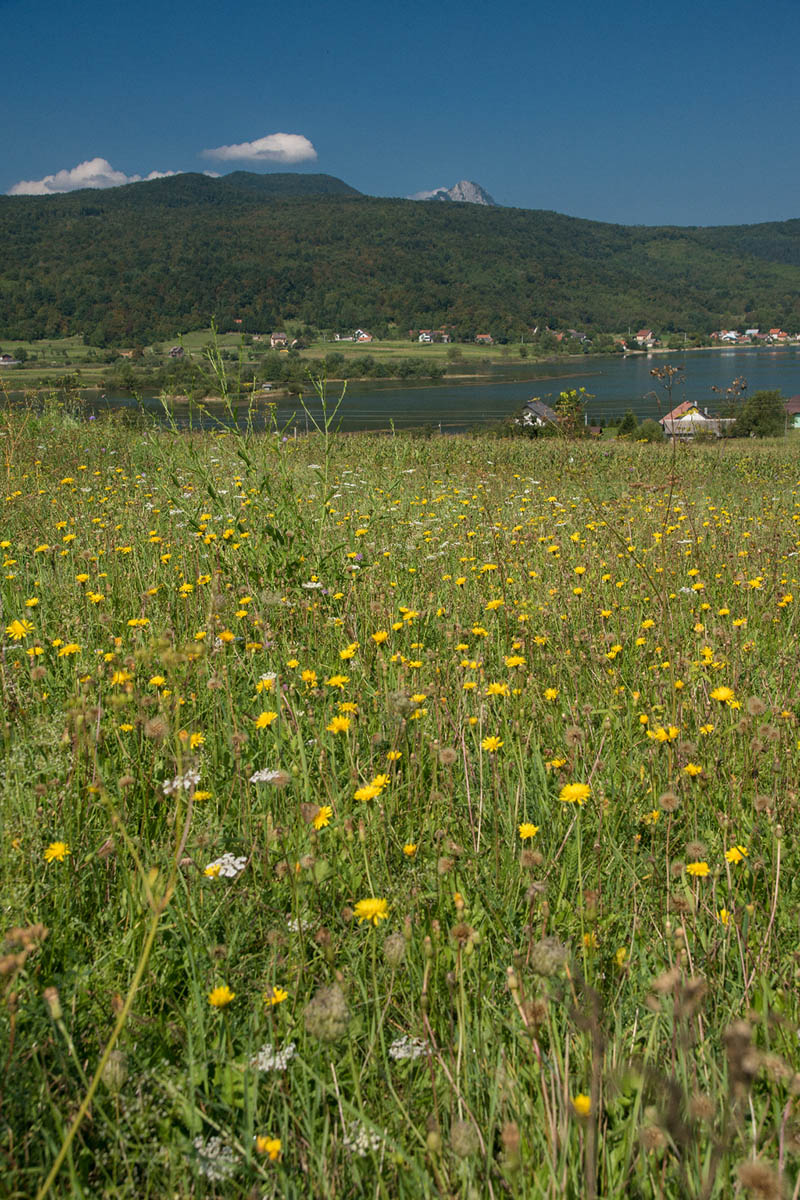JEZERO SABLJACI07 26 08 16