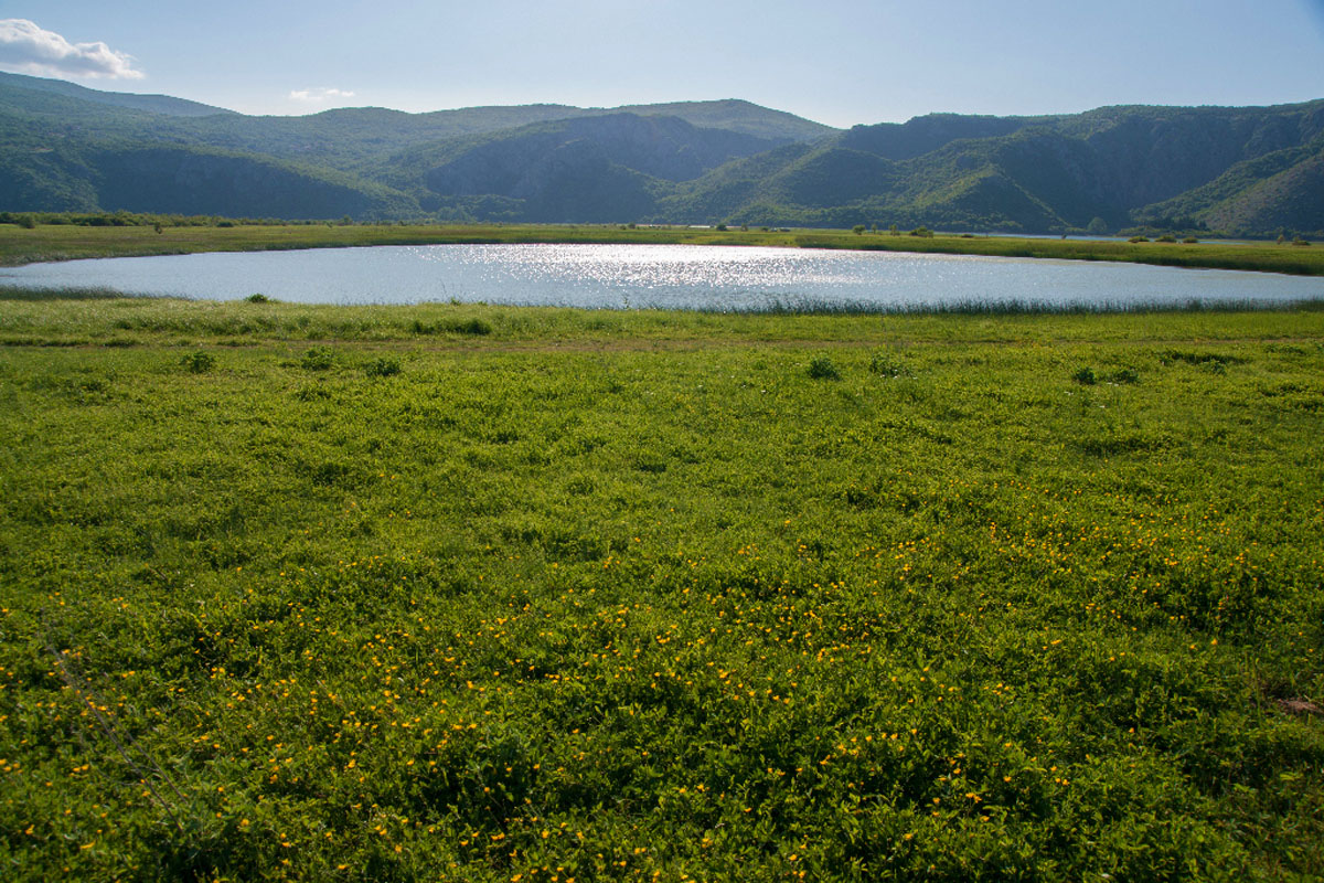 KRENICA08 17 05 12