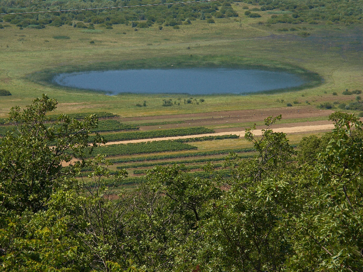KRENICA3