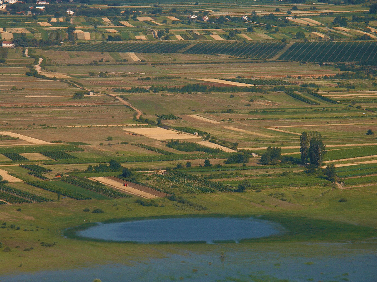 KRENICA6