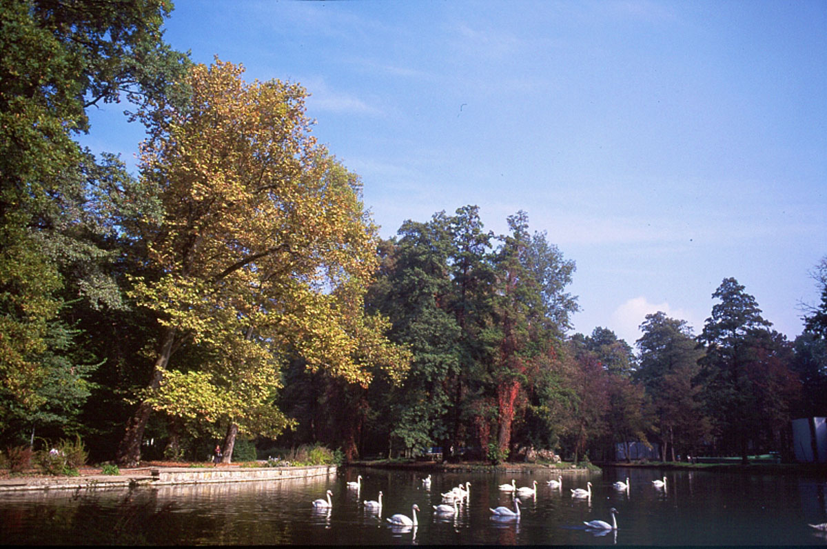 MAKSIMIR K13D4