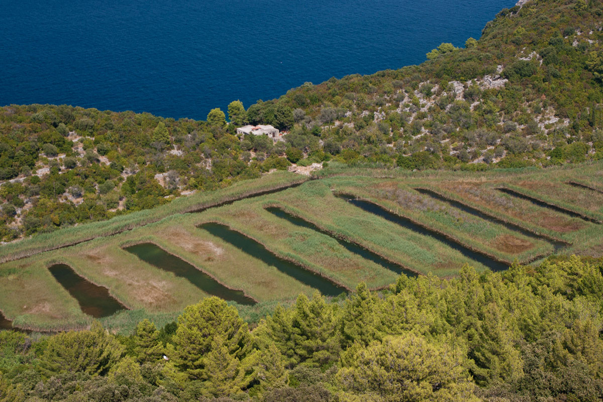 MLJET0857 12 08 13