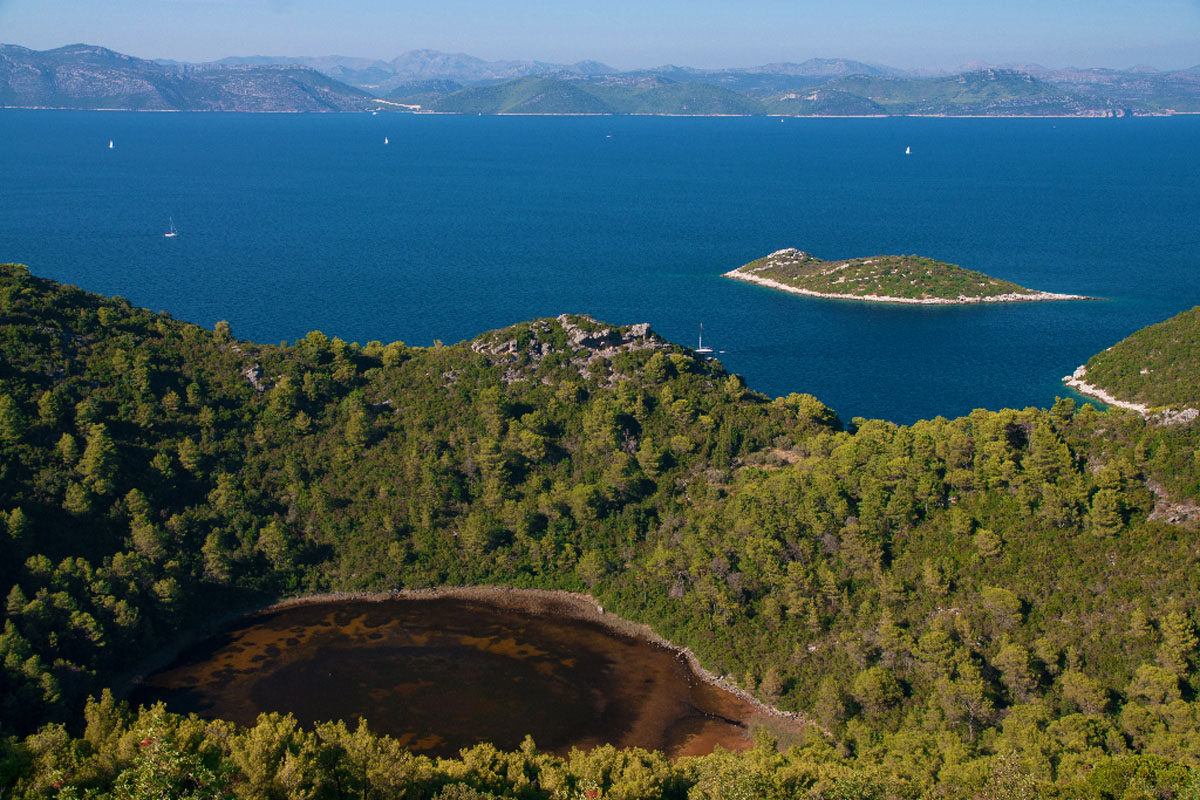 MLJET1181 13 08 13