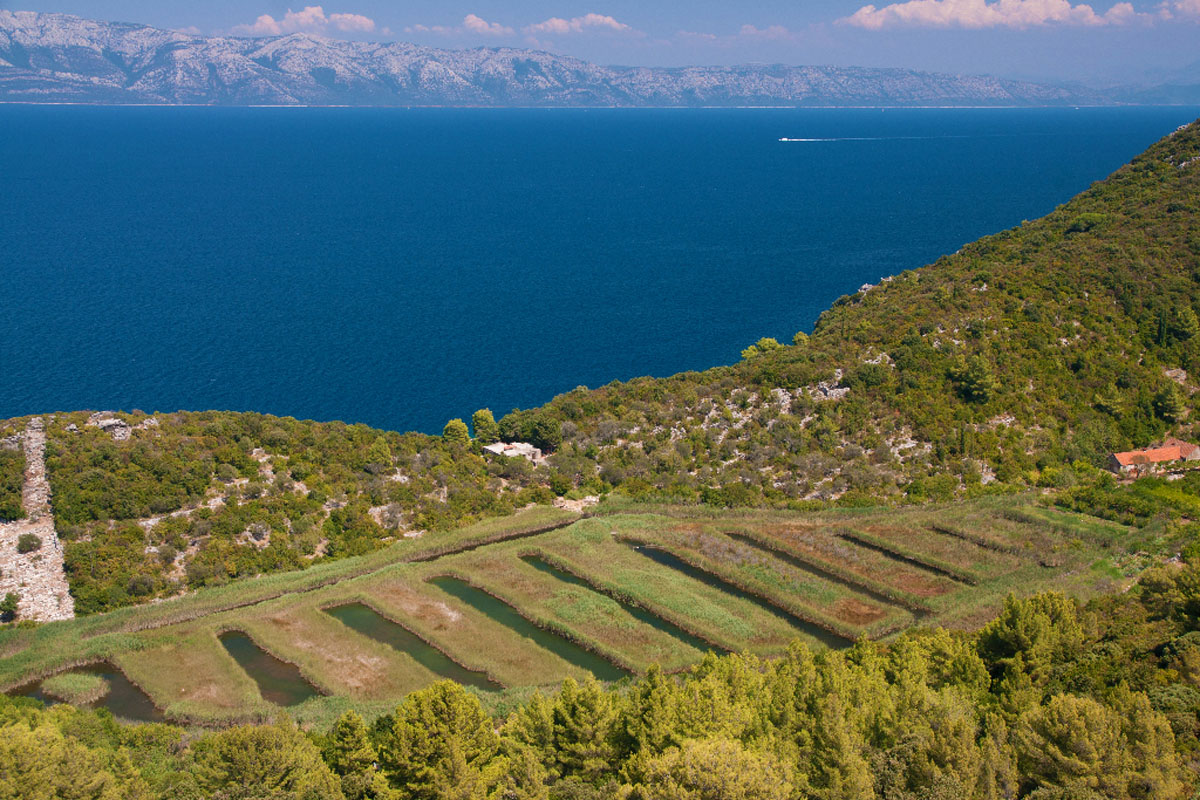 MLJET1623 16 08 13