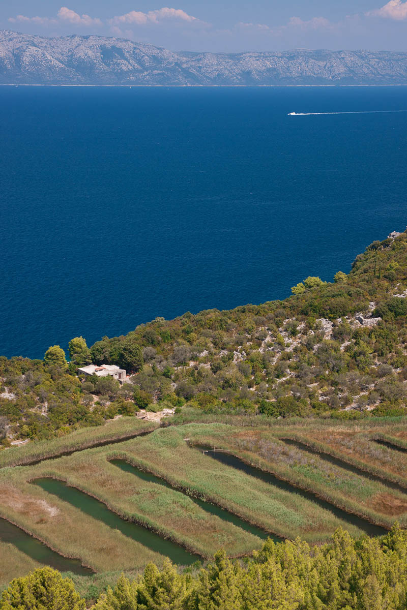 MLJET1624 16 08 13