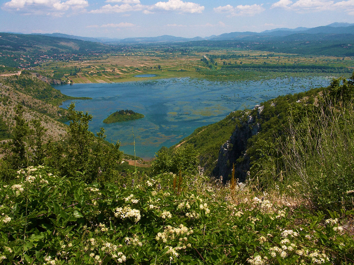 PROLOSKO BLATO I KRENICA18