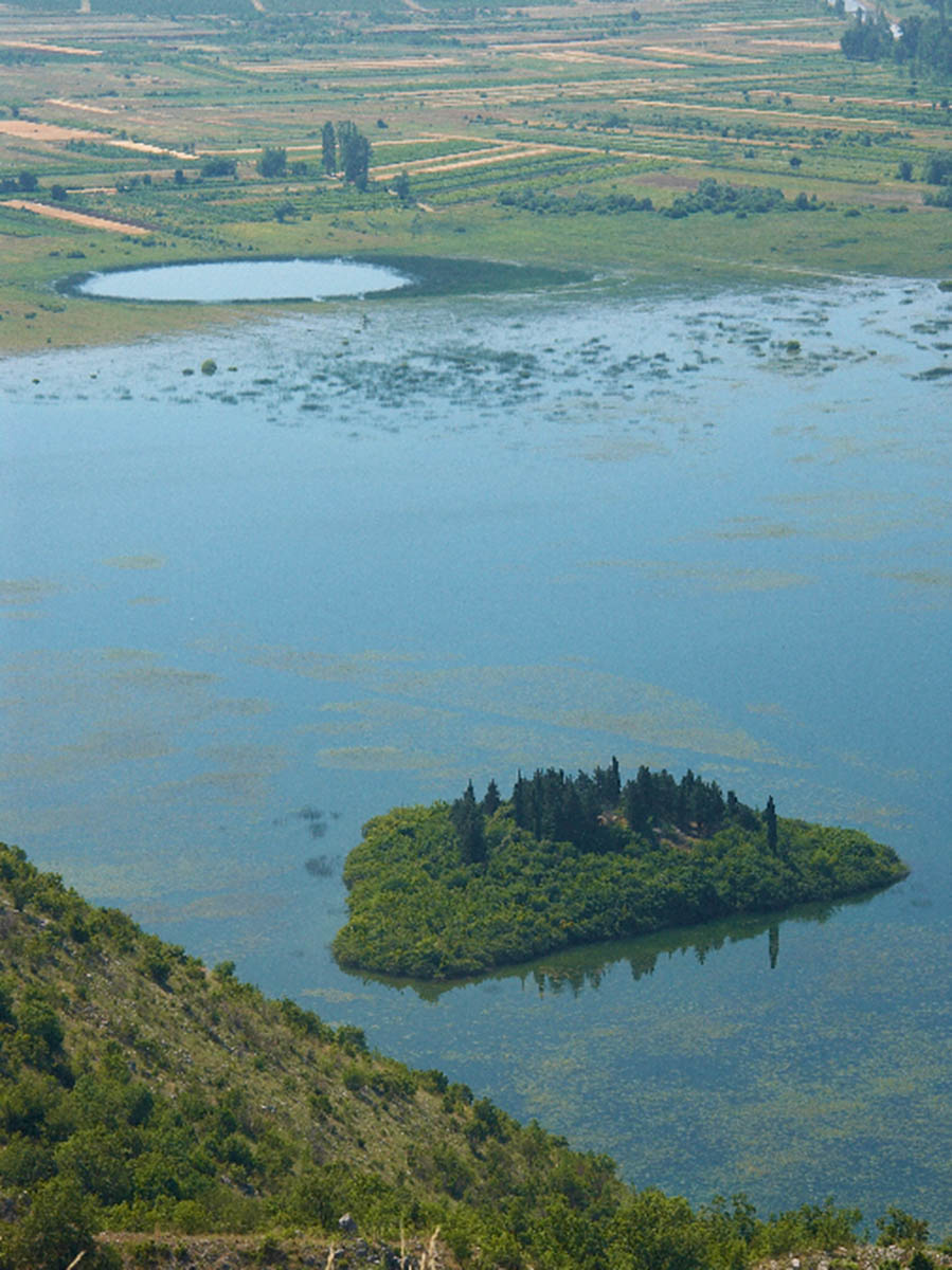 PROLOSKO BLATO I KRENICA5