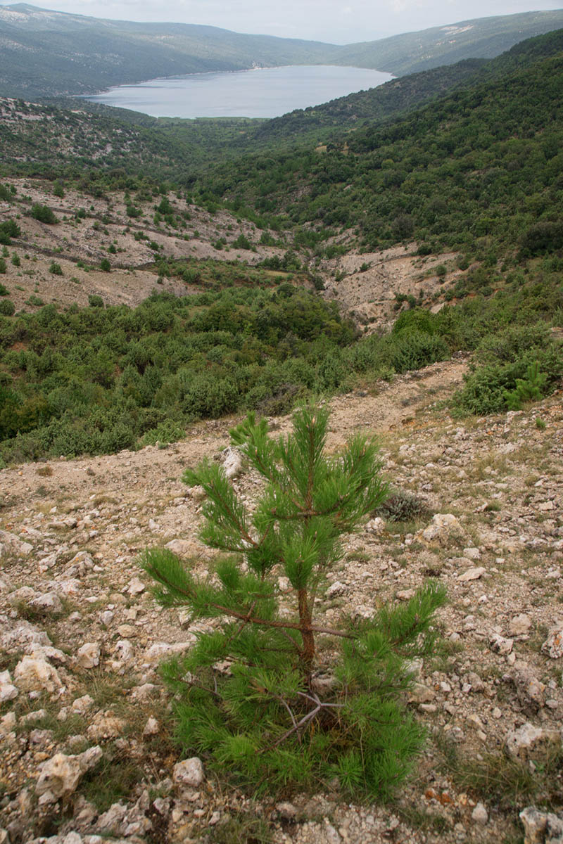 VRANSKO JEZERO08 23 08 14