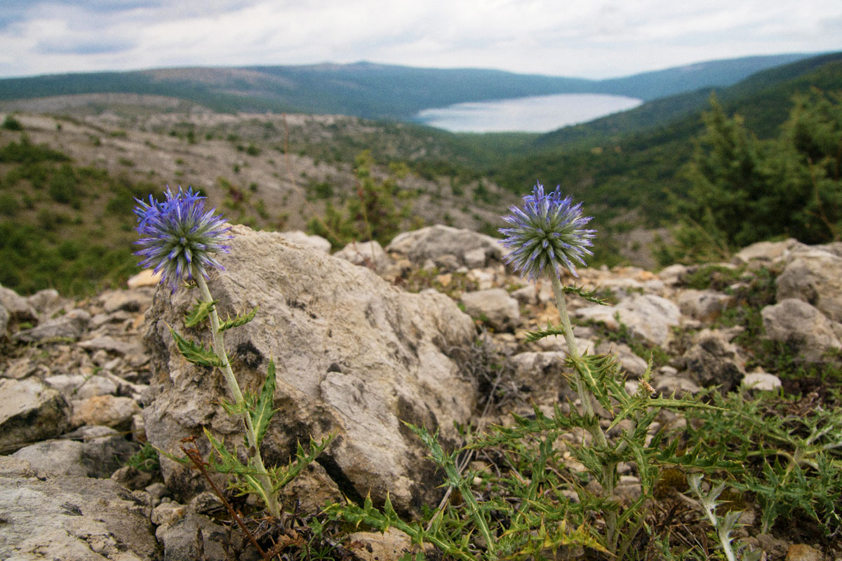 VRANSKO JEZERO25 23 08 14
