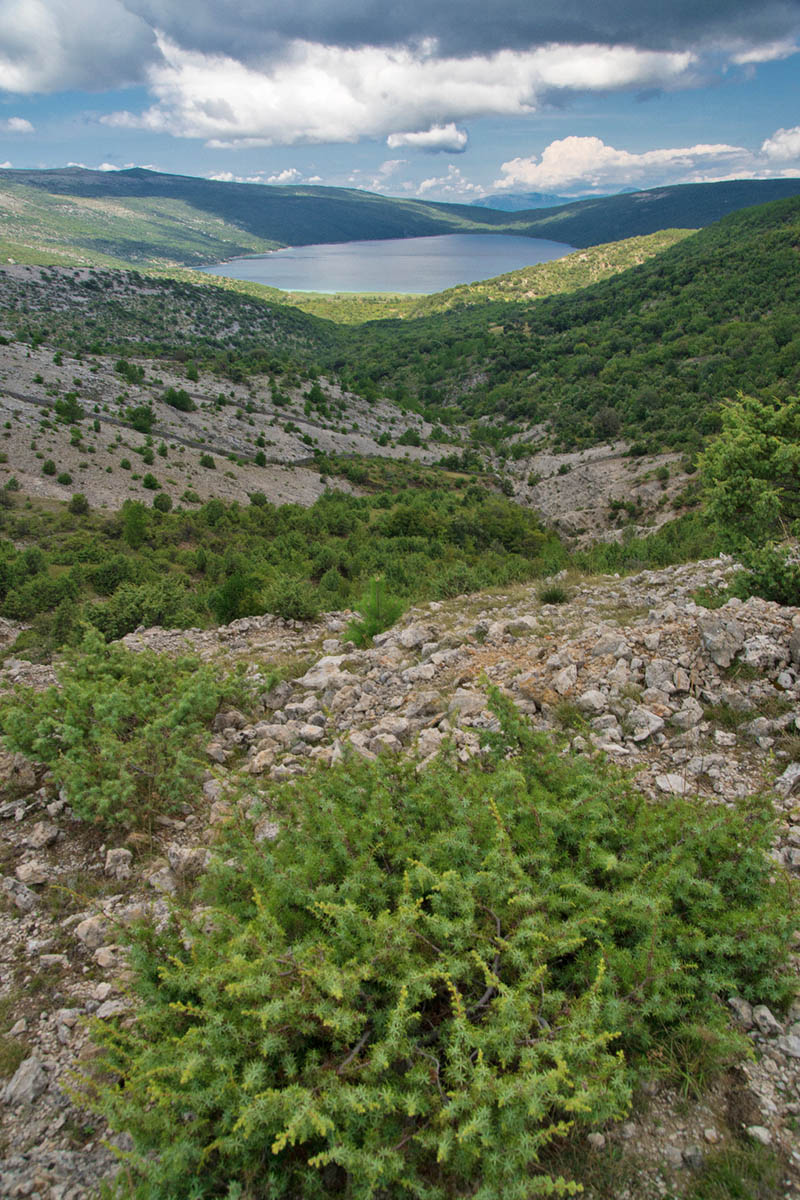 VRANSKO JEZERO52 24 08 14