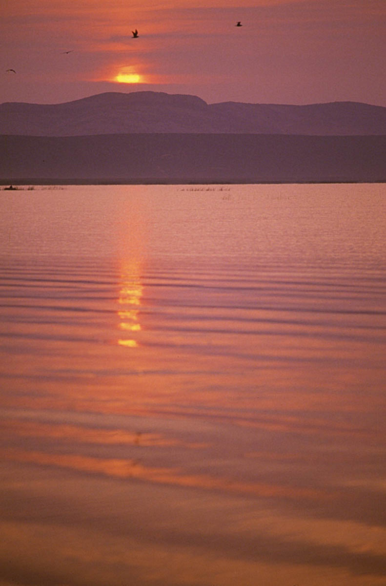 VRANSKO JEZERO K2B37